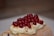 A dessert featuring a sponge cake roll topped with a layer of white cream and garnished with fresh red currants. The cake appears to have a light dusting of powdered sugar and crushed nuts on top.