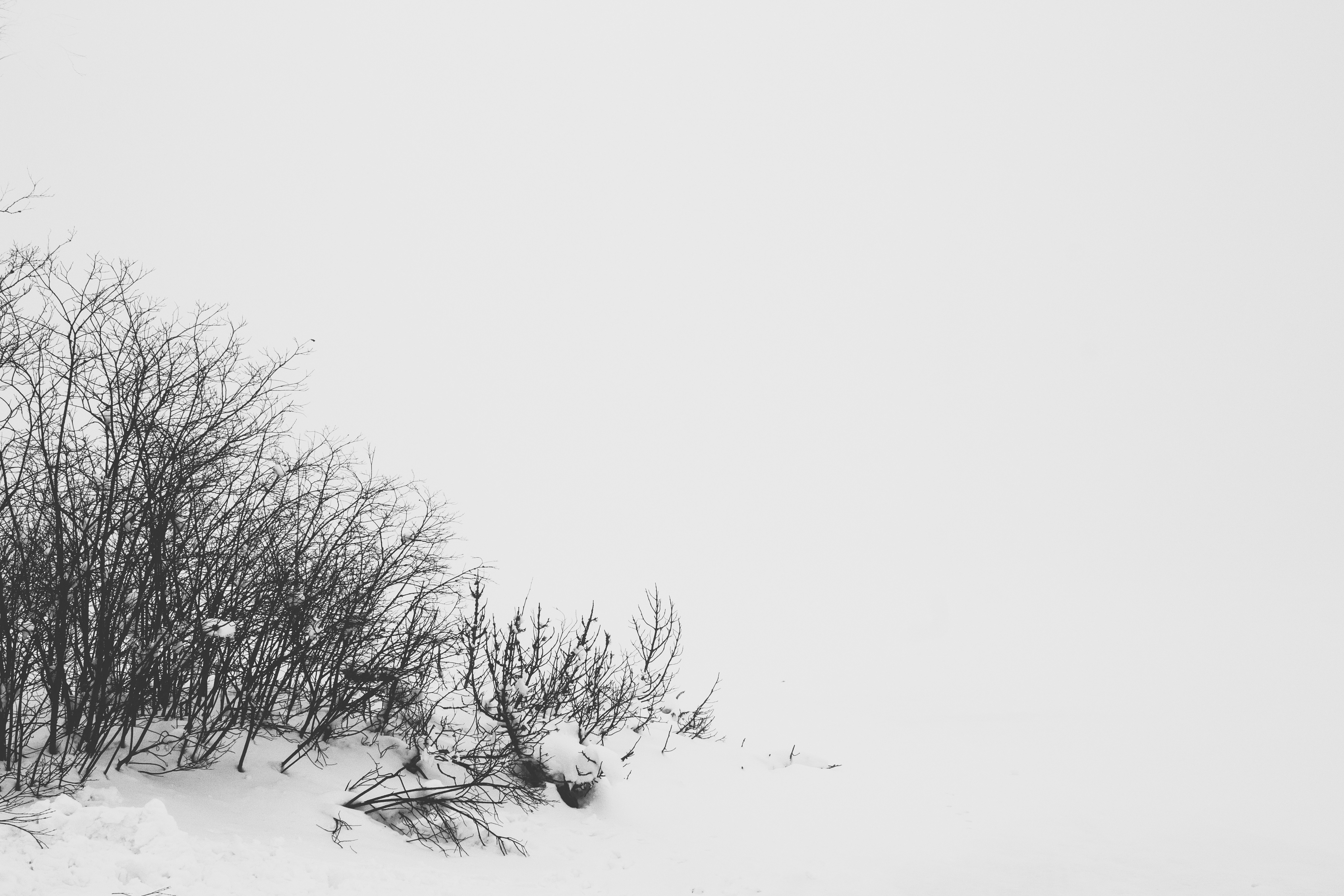 Photo by daniel_toth