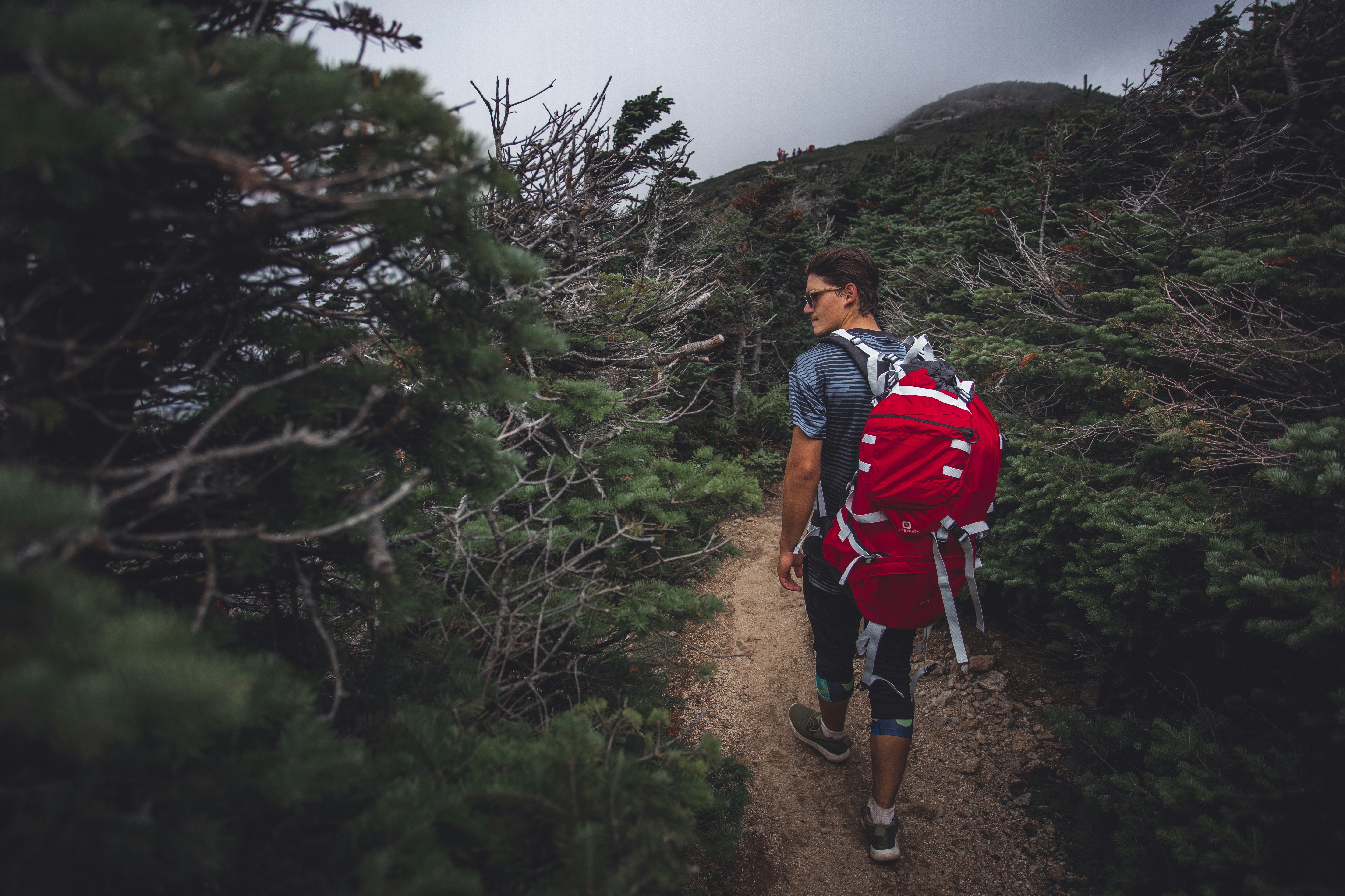 Franconia Ridge Loop (NH)