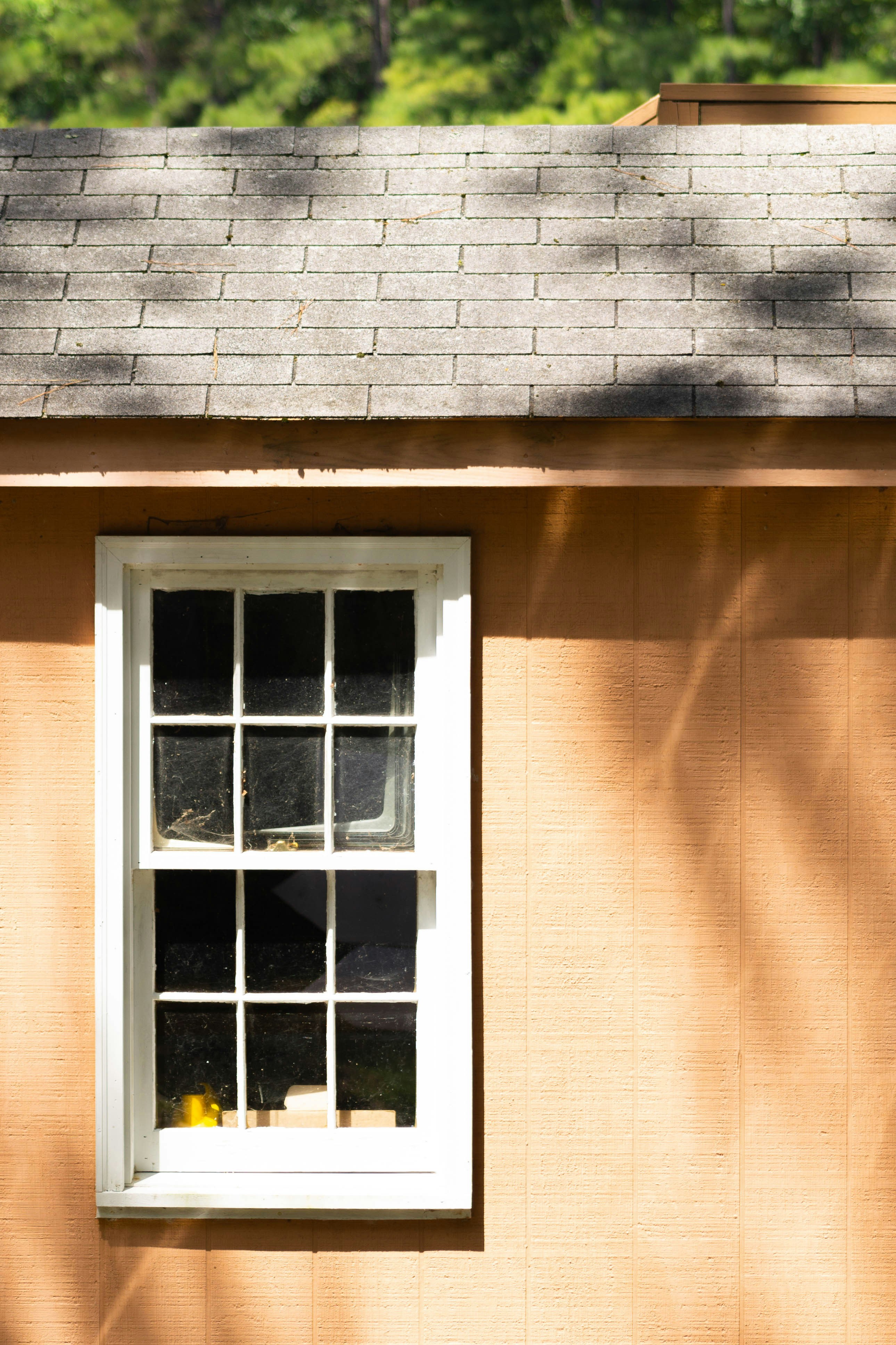 Photo by moonlitlens