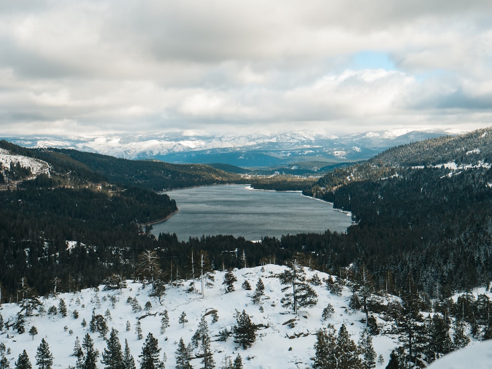 land covered in snow