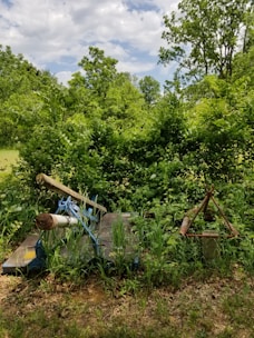 Close-up of a fenced industrial lot with overgrown grass and old machinery scattered around.