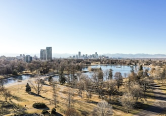 aerial photo of city