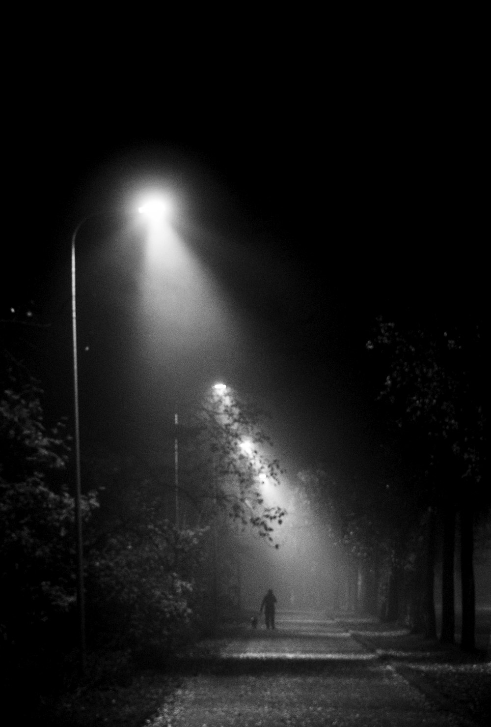 person walking on road at night time