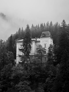 grayscale photography of house beside trees