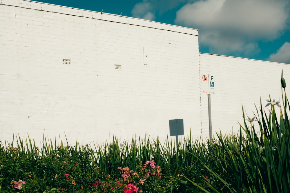 flowers near white building