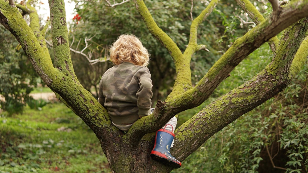toddler sitting on tree