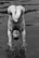 A person is upside down above water, with their head close to the surface and feet pointing upwards. The water is rippling, creating dynamic patterns around their hands. The person's body is positioned as if they are diving or performing a handstand. The image is captured in black and white, emphasizing the contrast and reflections on the water.