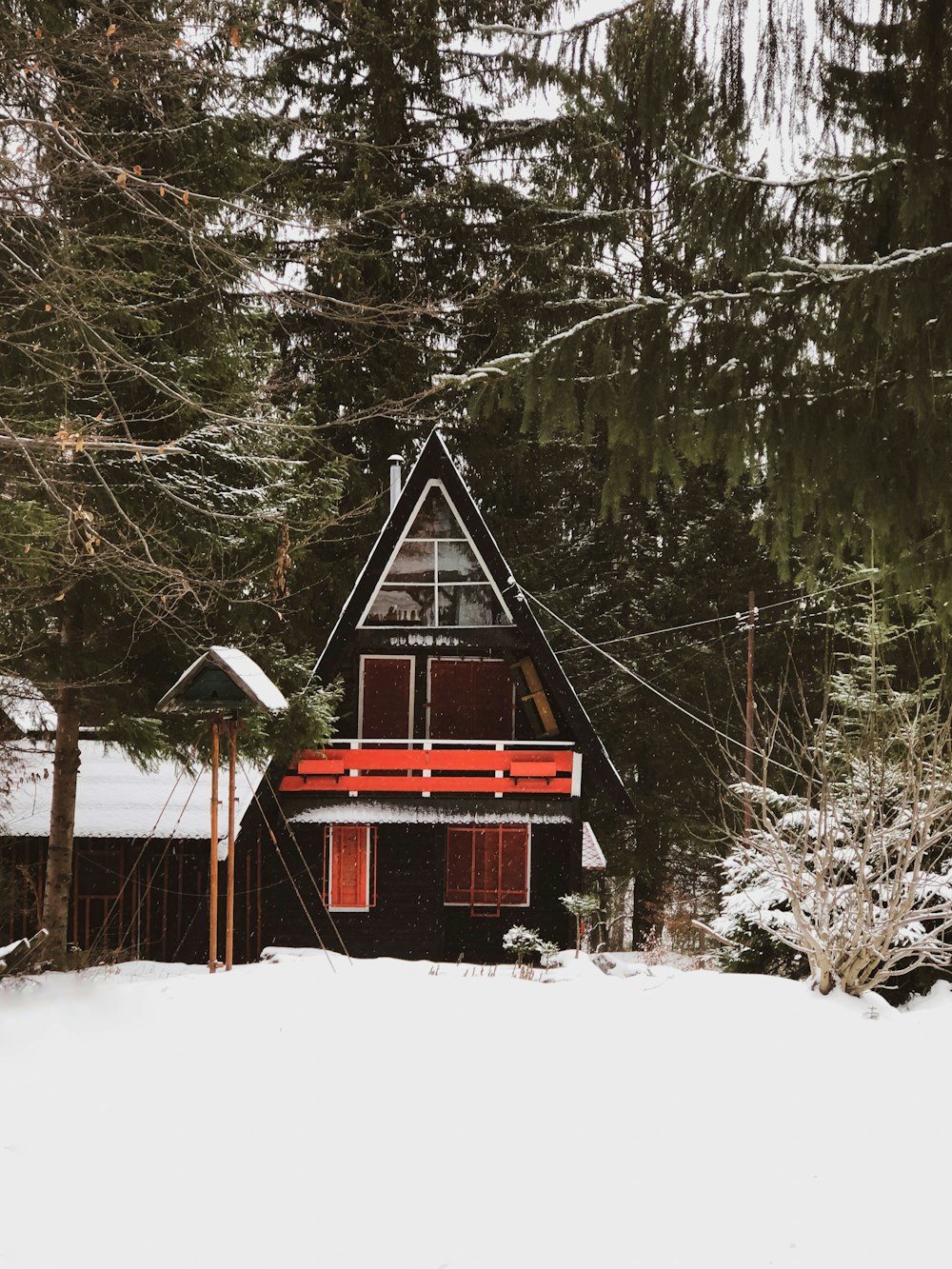 black house surrounded by trees