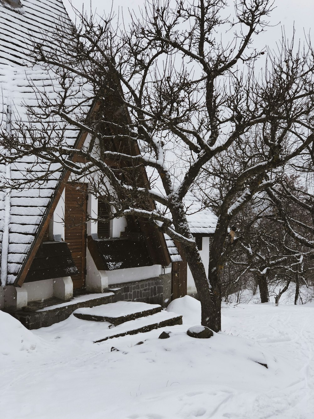 brown house covered by snow beside tree