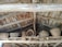 The image features a rustic wooden attic or loft area with multiple woven baskets placed on wooden beams. The ceiling is constructed from natural, unpolished wooden planks and beams, giving a traditional and aged appearance.