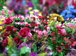 A colorful selection of edible flowers in vibrant hues.