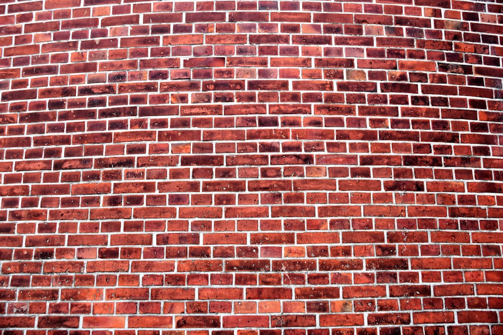 brown wall bricks