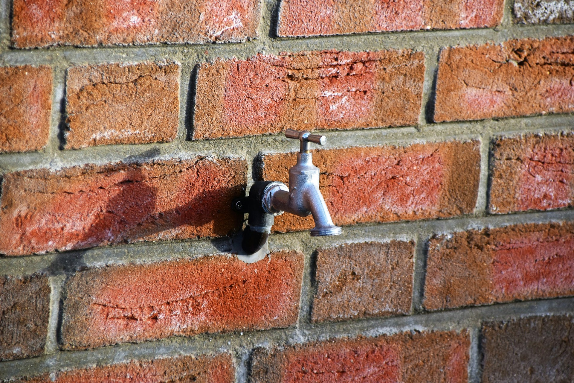 woman wearing yellow long-sleeved dress under white clouds and blue sky during daytime