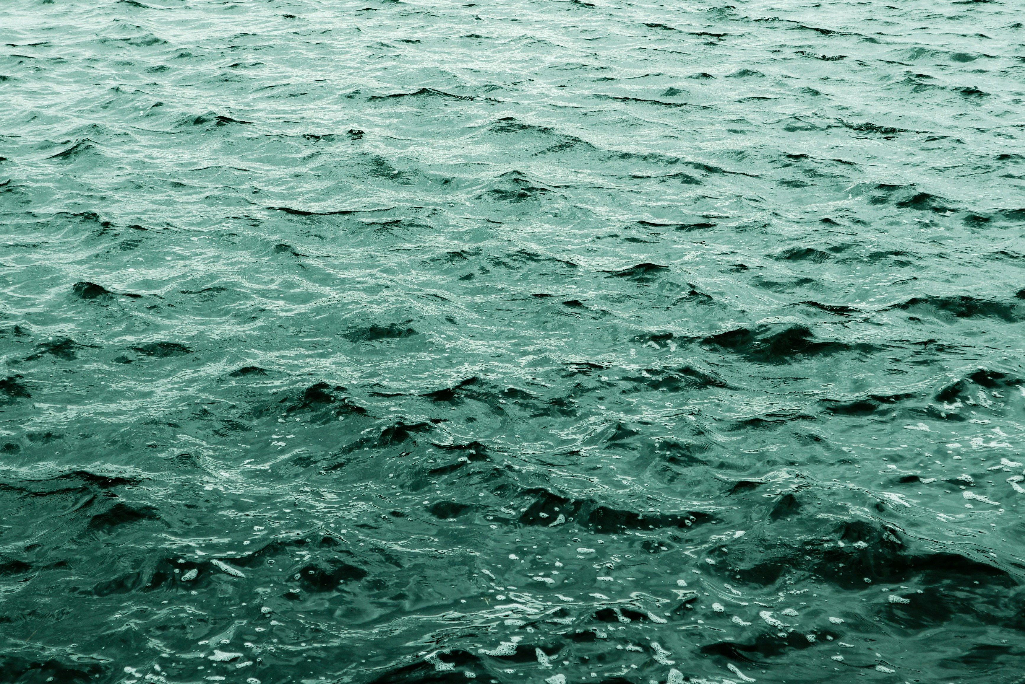 Photo by monicatoner