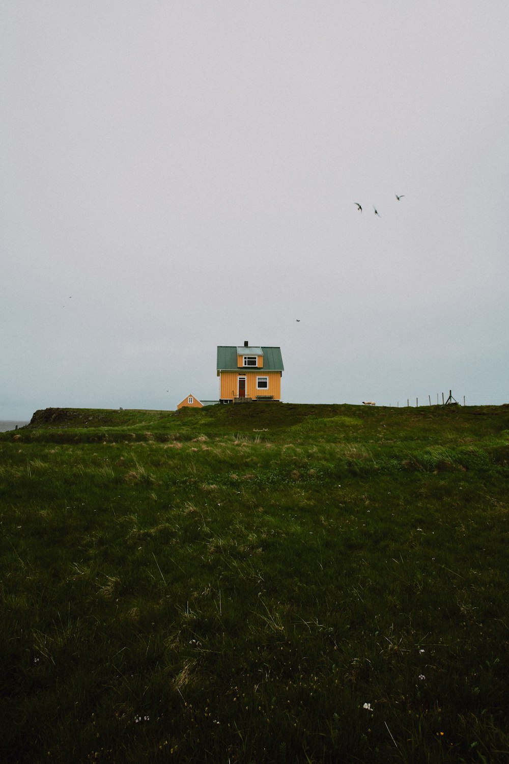 house on green grass land