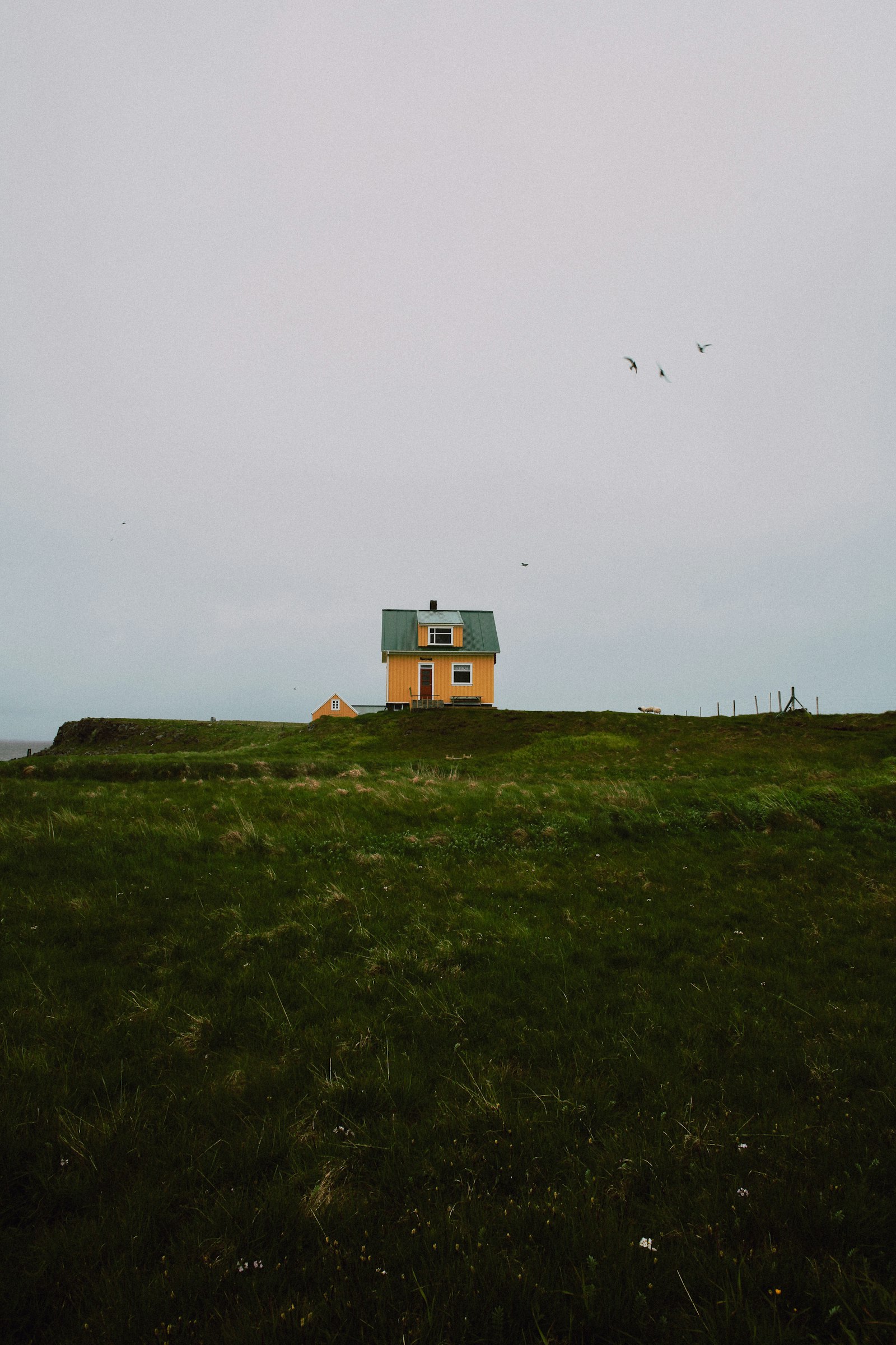 Canon EF 24mm F2.8 IS USM sample photo. House on green grass photography