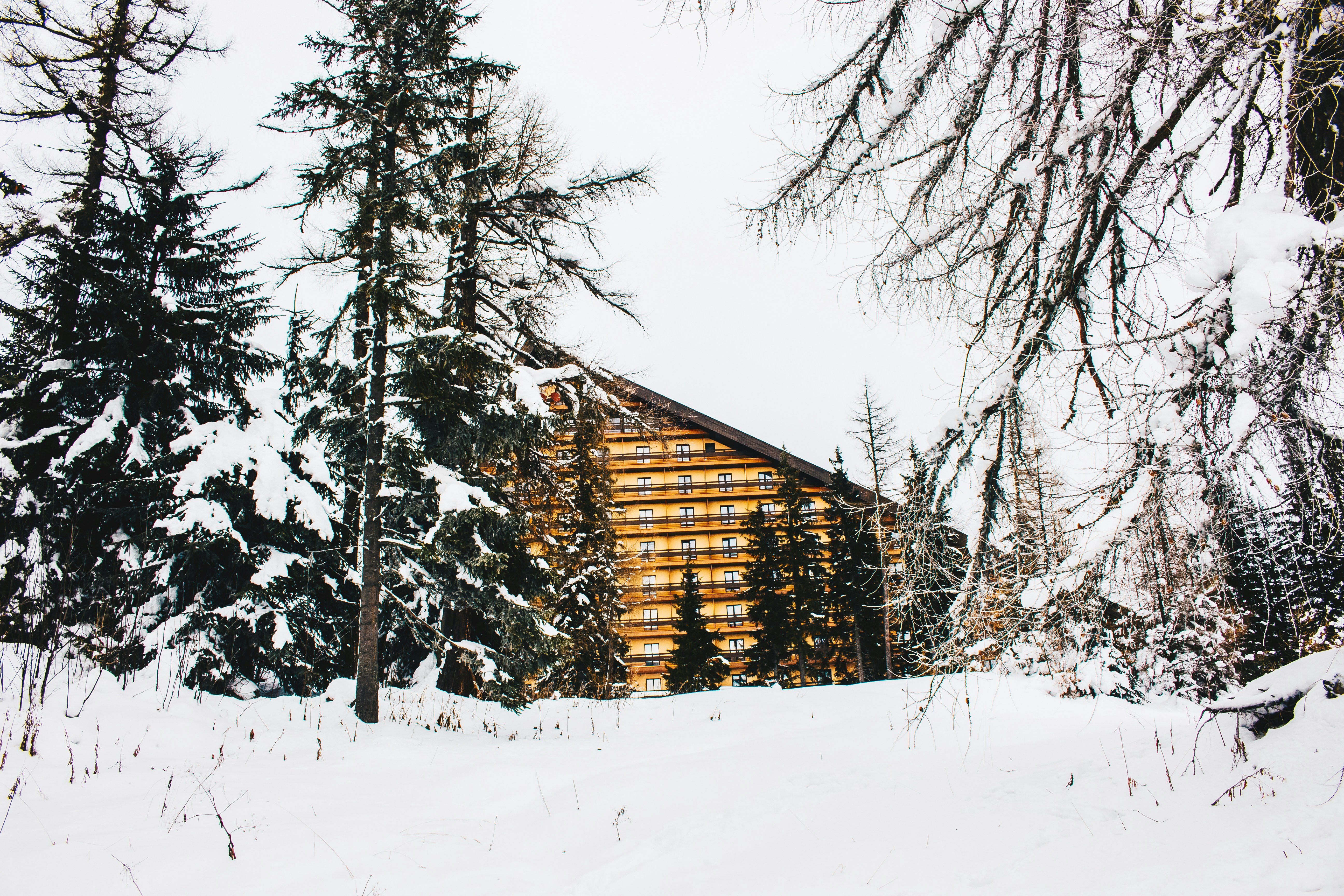 Photo by daniel_toth