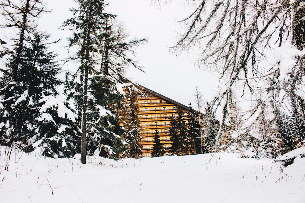 snow covered cabin