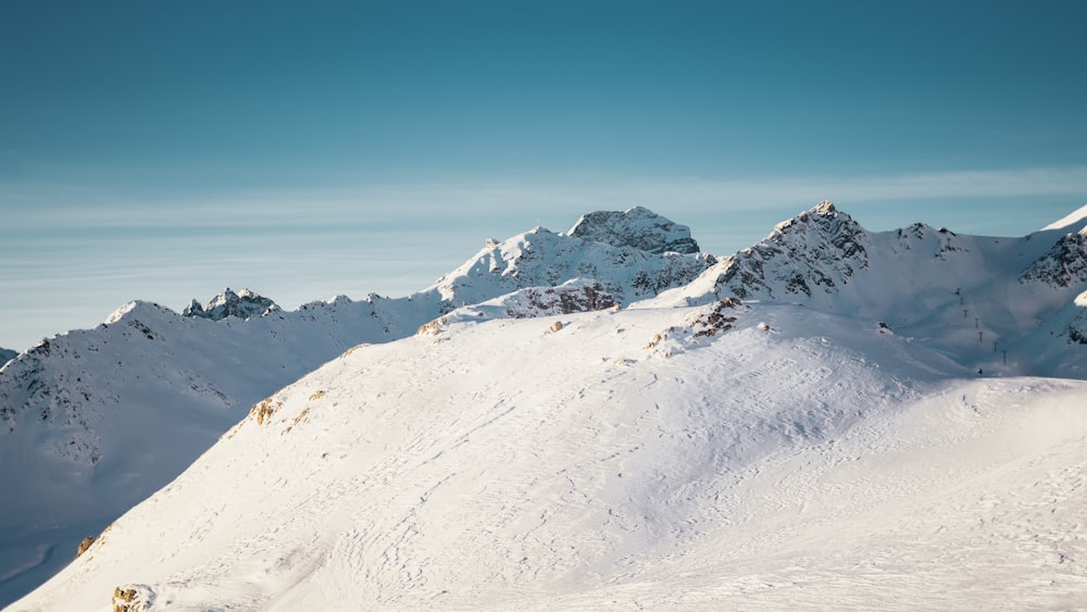 land covered in snow