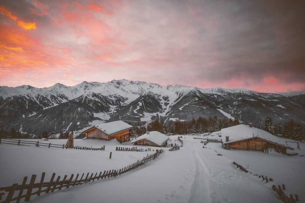 land covered in snow