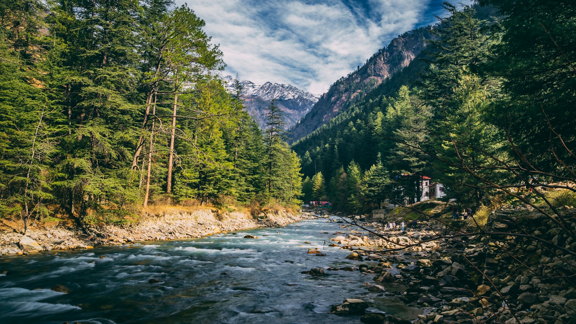 green pine trees near river during daytime