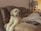A small dog with curly fur is relaxing on a cushioned brown sofa. The dog appears to be alert and gazing forward. Next to the dog, there is a cozy blanket partially covering someone on the sofa. In the background, a patterned lamp with a dark stand is situated beside a cluttered table, with various items including tissues and boxes. The room has a warm and inviting atmosphere.