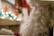 A close-up view of Santa Claus with a focus on his white curly beard and part of his red outfit. Soft bokeh lights in the background outshine a blurred Christmas setting, creating a warm festive atmosphere.