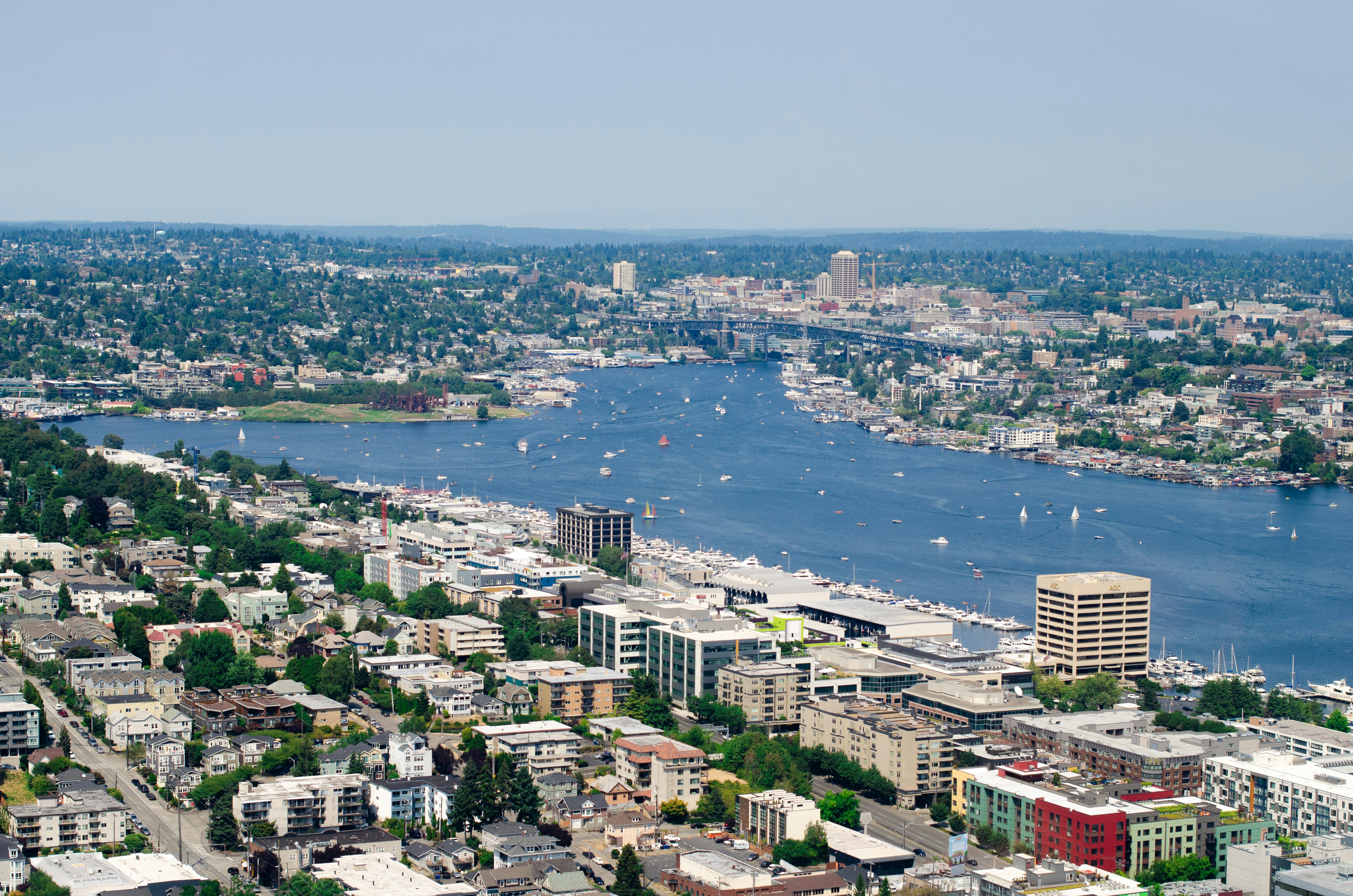 Coronavirus Will Not Cool Off the Seattle Housing Market