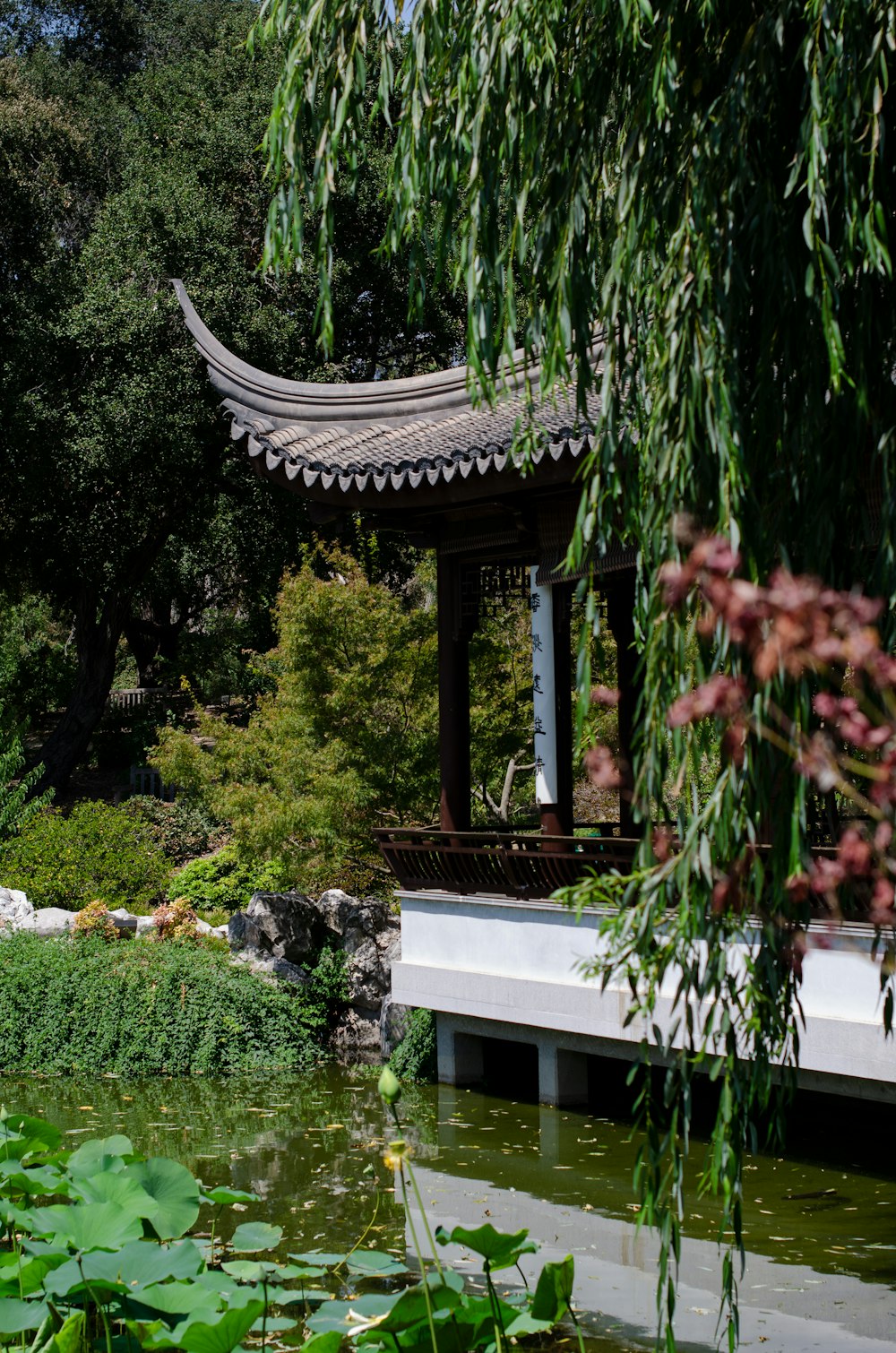 brown gazebo during daytim