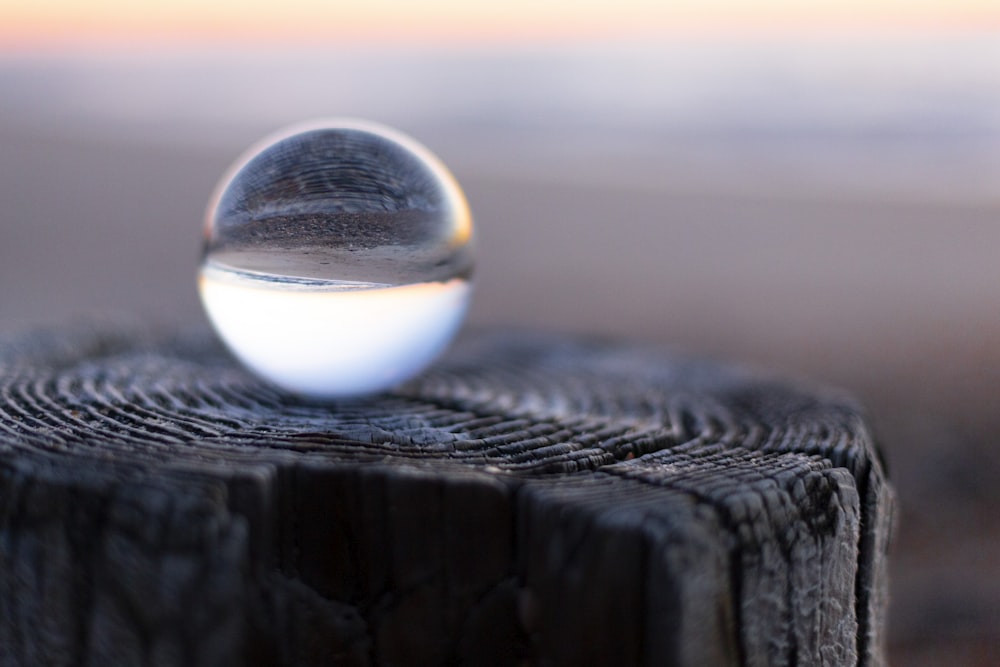 ball on wood stump in selective focus photography