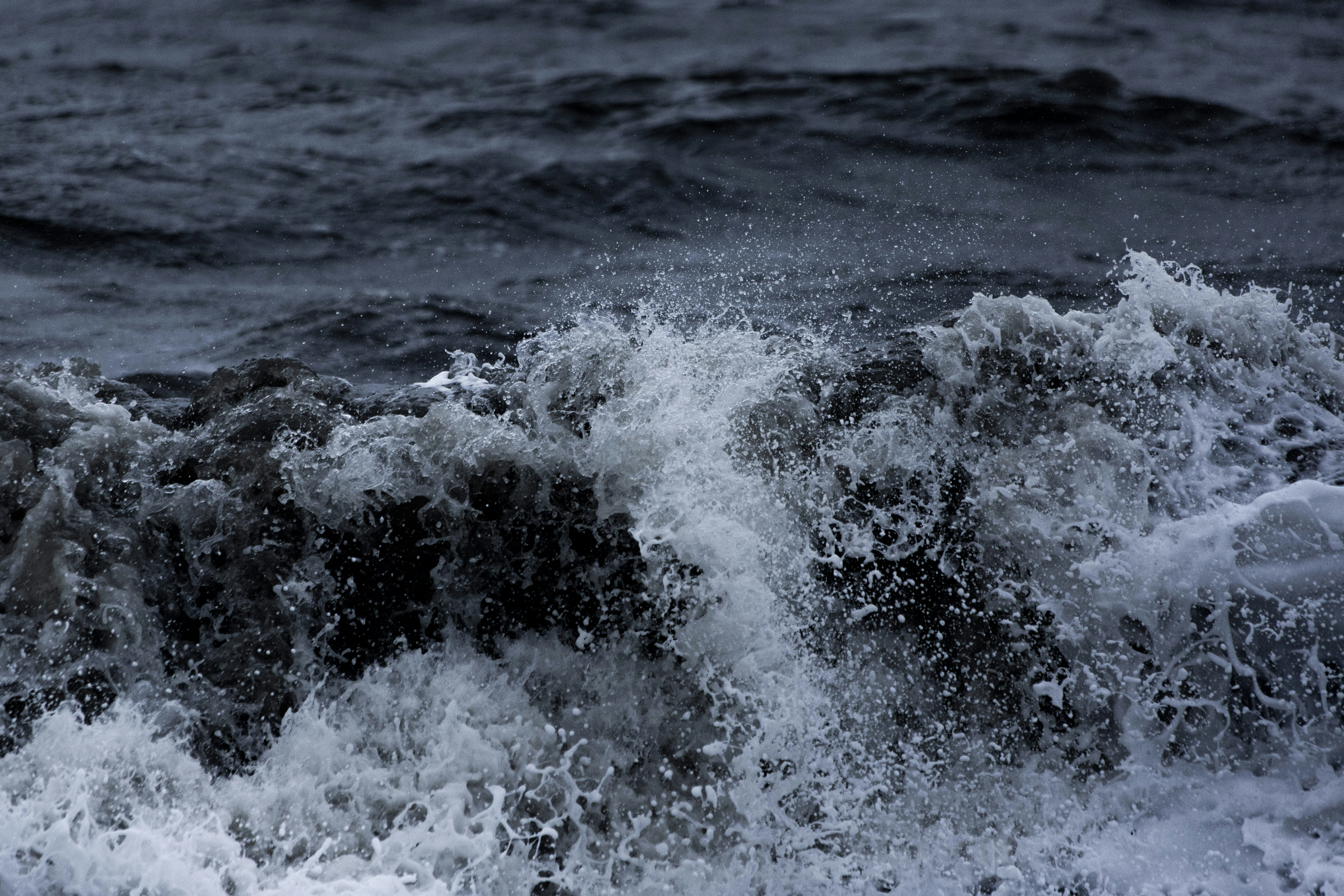 Photo by dbeamer_jpg