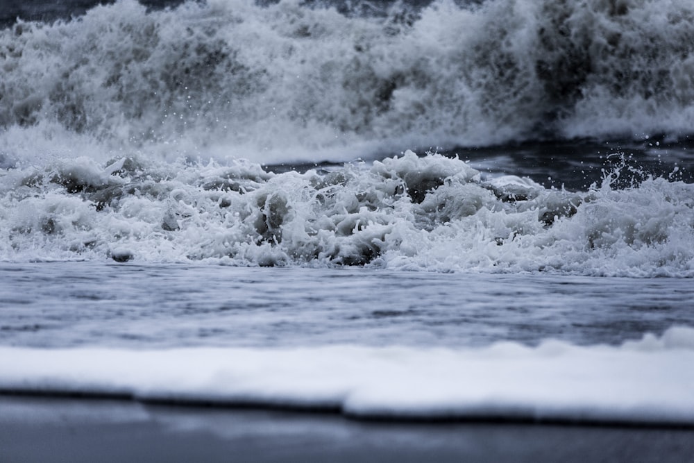 body of water waves