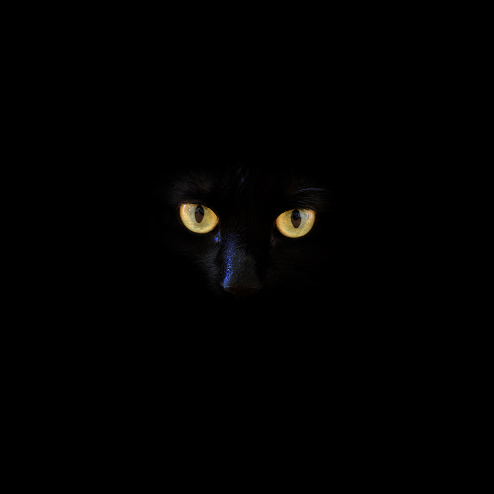 Black Wallpaper Cat Eyes