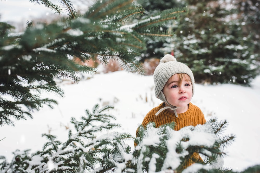 toddler beside pine tree