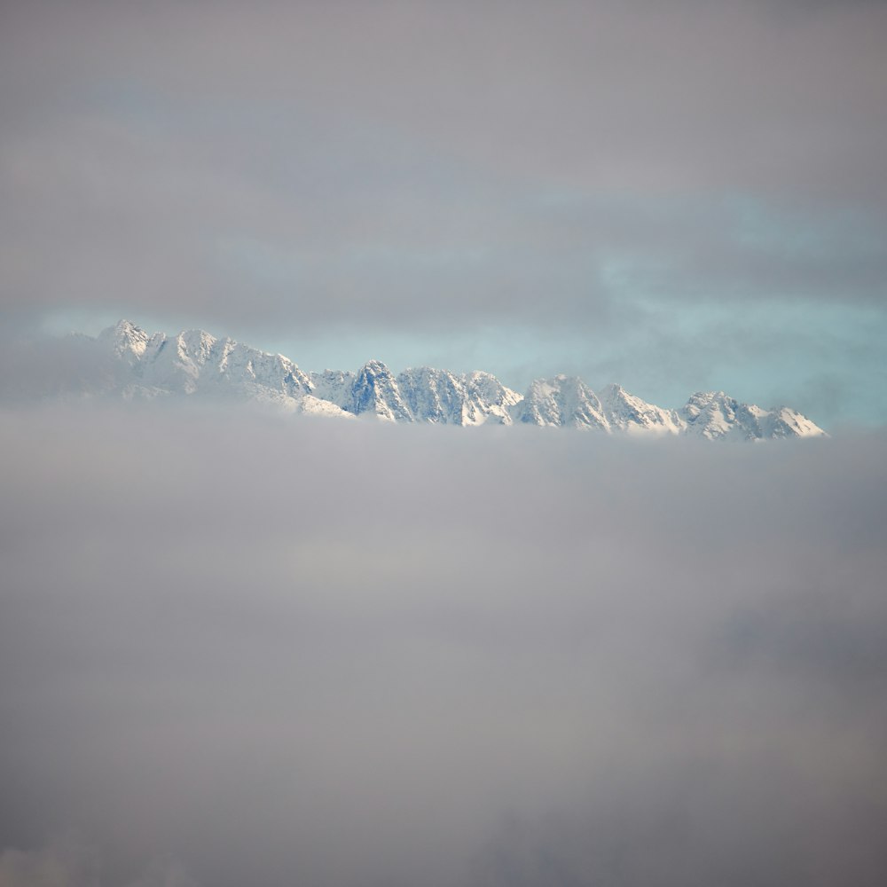 mountain and snow