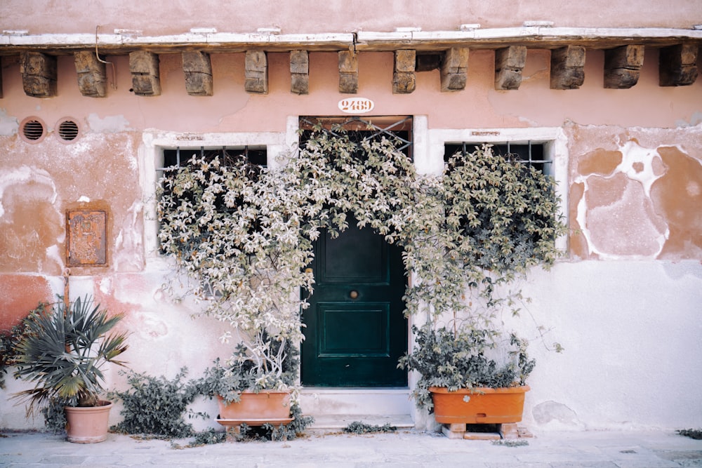 black wooden door closed during daytime