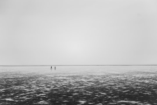 snow landscape during daytime in Wadden Sea National Park Germany
