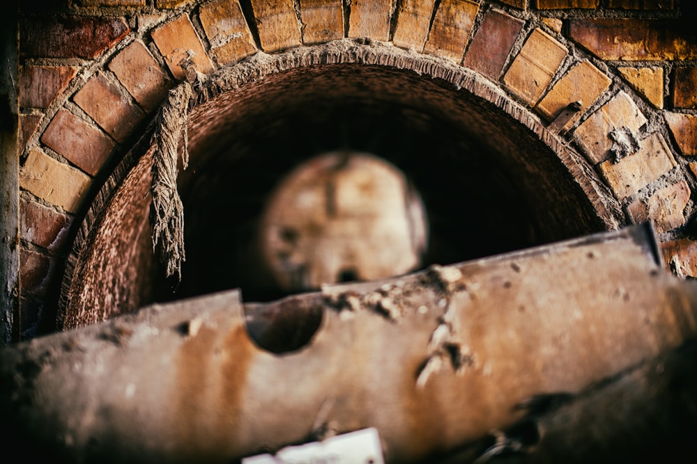 selective focus photography of brown hole