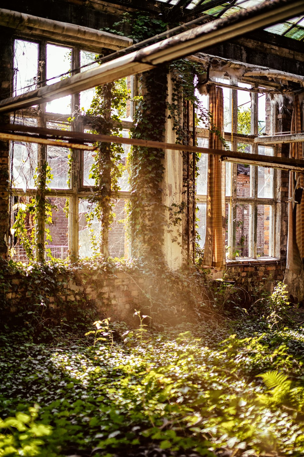 casa e plats durante il giorno