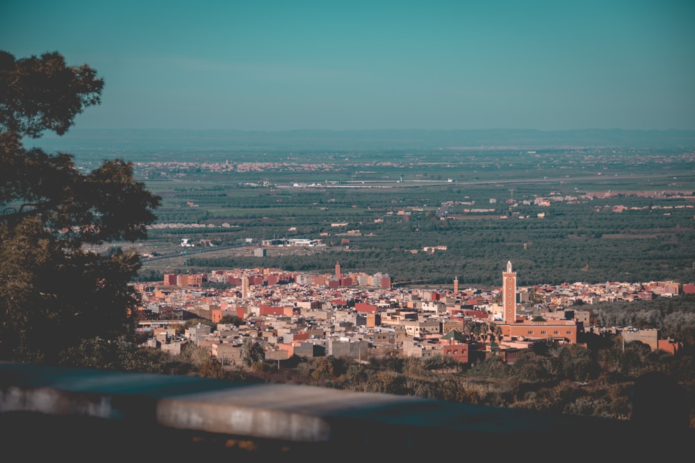 aerial photography of cityscape during daytime