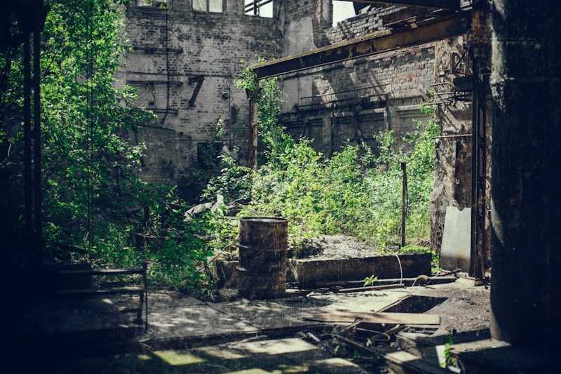 Urban Exploration.