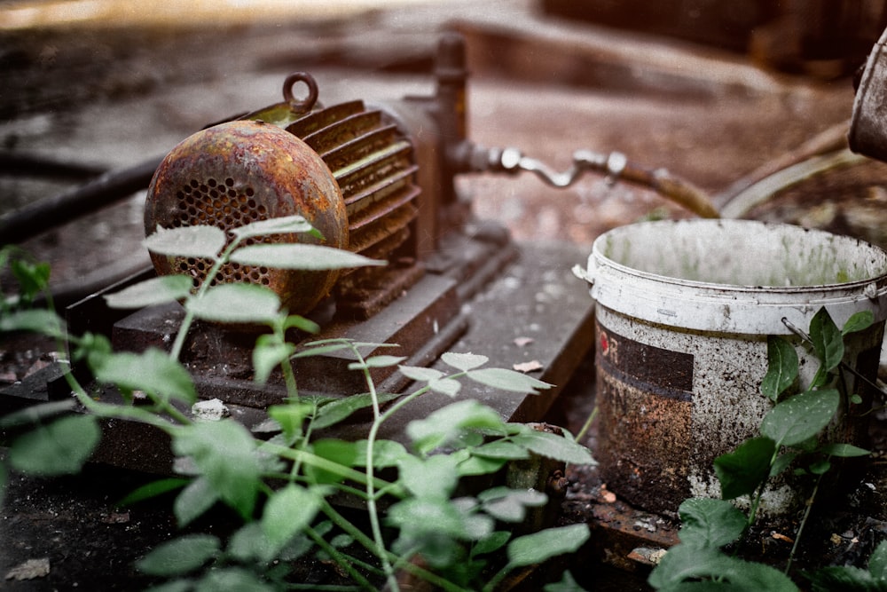 brown water pump