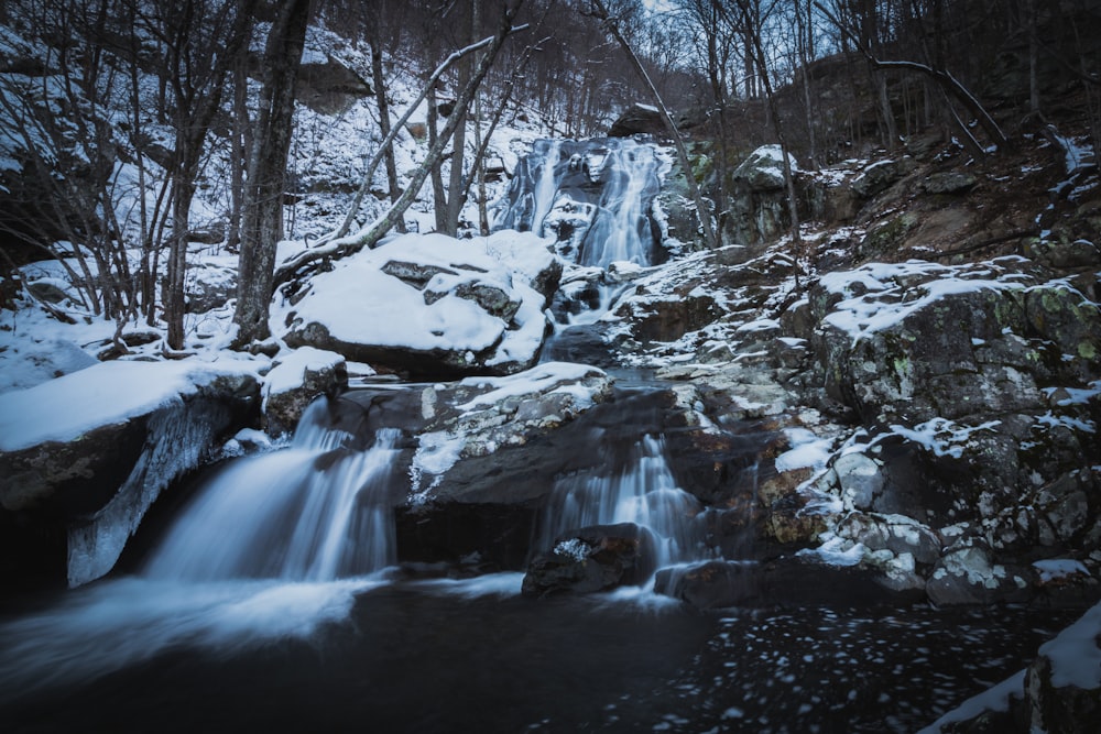 riva del fiume durante il giorno