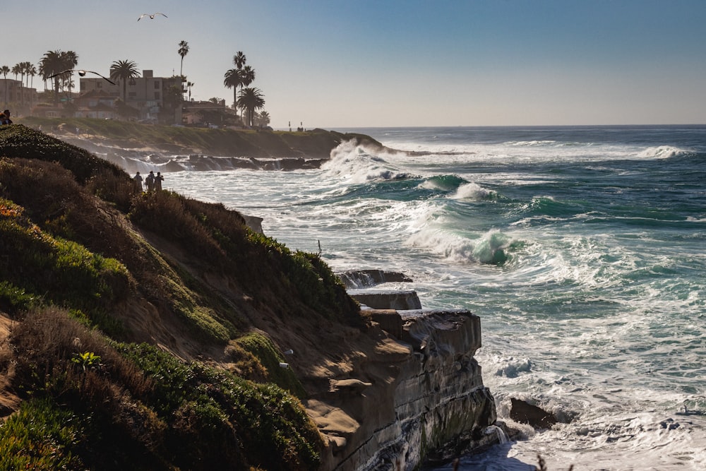 aerial view photography of cliff and shore