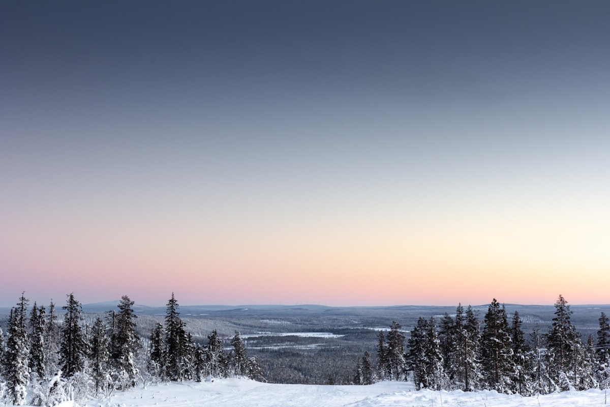 Bird's-eye view of snow-covered forest and frozen lake in Levi, Finnish Lapland in winter