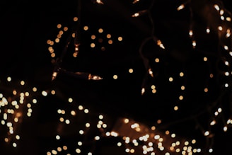 Strings of warm, glowing fairy lights create a soft, blurred bokeh effect against a dark background. The lights appear to hang down in an irregular pattern, casting a cozy and festive ambiance.