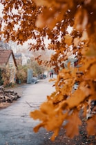 A picturesque rural path is framed by vibrant autumn leaves in the foreground, leading to quaint houses with a rustic charm. The overcast sky gives a soft, muted backdrop to the scene. Two people are walking in the distance, adding a sense of life to the peaceful setting.