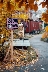 A small, hand-painted sign reading 'Slow Down' is surrounded by vibrant yellow autumn leaves. The setting is alongside a quiet street, with a rustic red wooden building in the background. Bicycles are parked near the building, and the ground is covered with fallen leaves, creating a cozy, serene atmosphere.