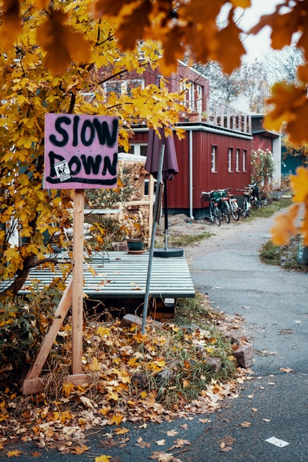 A small, hand-painted sign reading 'Slow Down' is surrounded by vibrant yellow autumn leaves. The setting is alongside a quiet street, with a rustic red wooden building in the background. Bicycles are parked near the building, and the ground is covered with fallen leaves, creating a cozy, serene atmosphere.